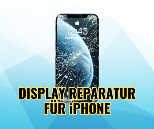 Display Reparatur